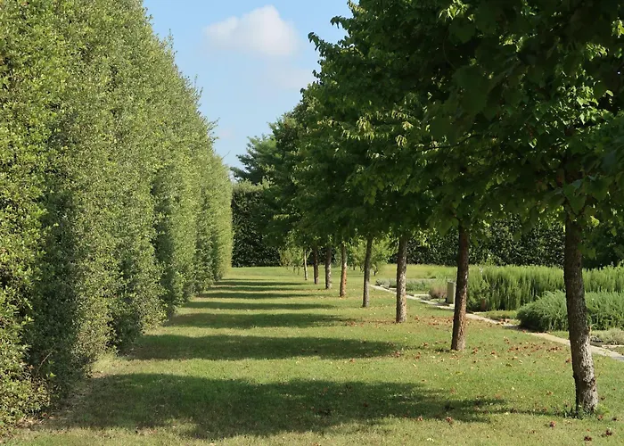 莎古拉莫拉住宿加早餐旅馆 4*