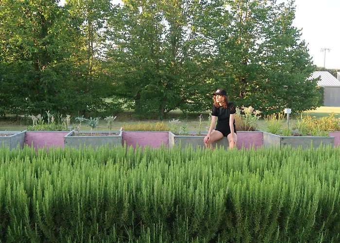 莎古拉莫拉住宿加早餐旅馆 4* 法恩莎