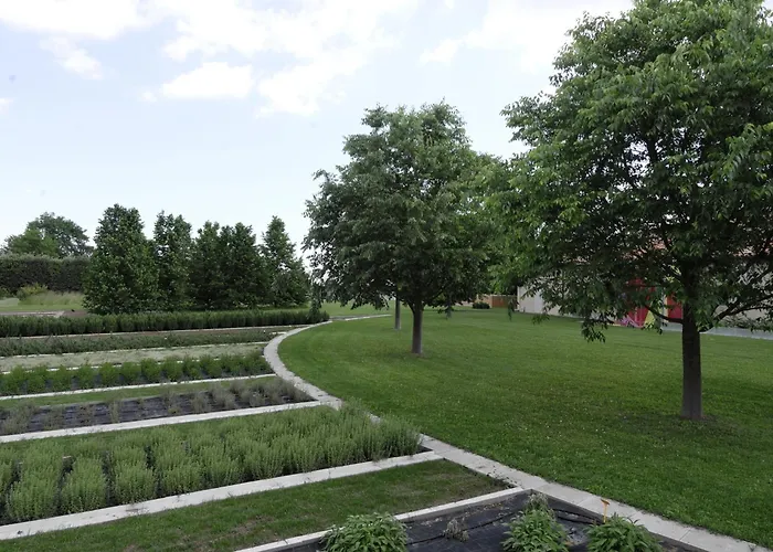 住宿加早餐酒店 莎古拉莫拉住宿加早餐旅馆 法恩莎