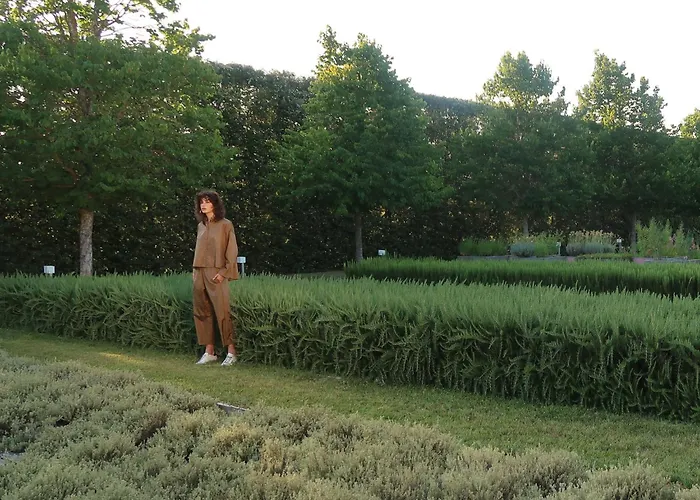 住宿加早餐酒店 莎古拉莫拉住宿加早餐旅馆 4*